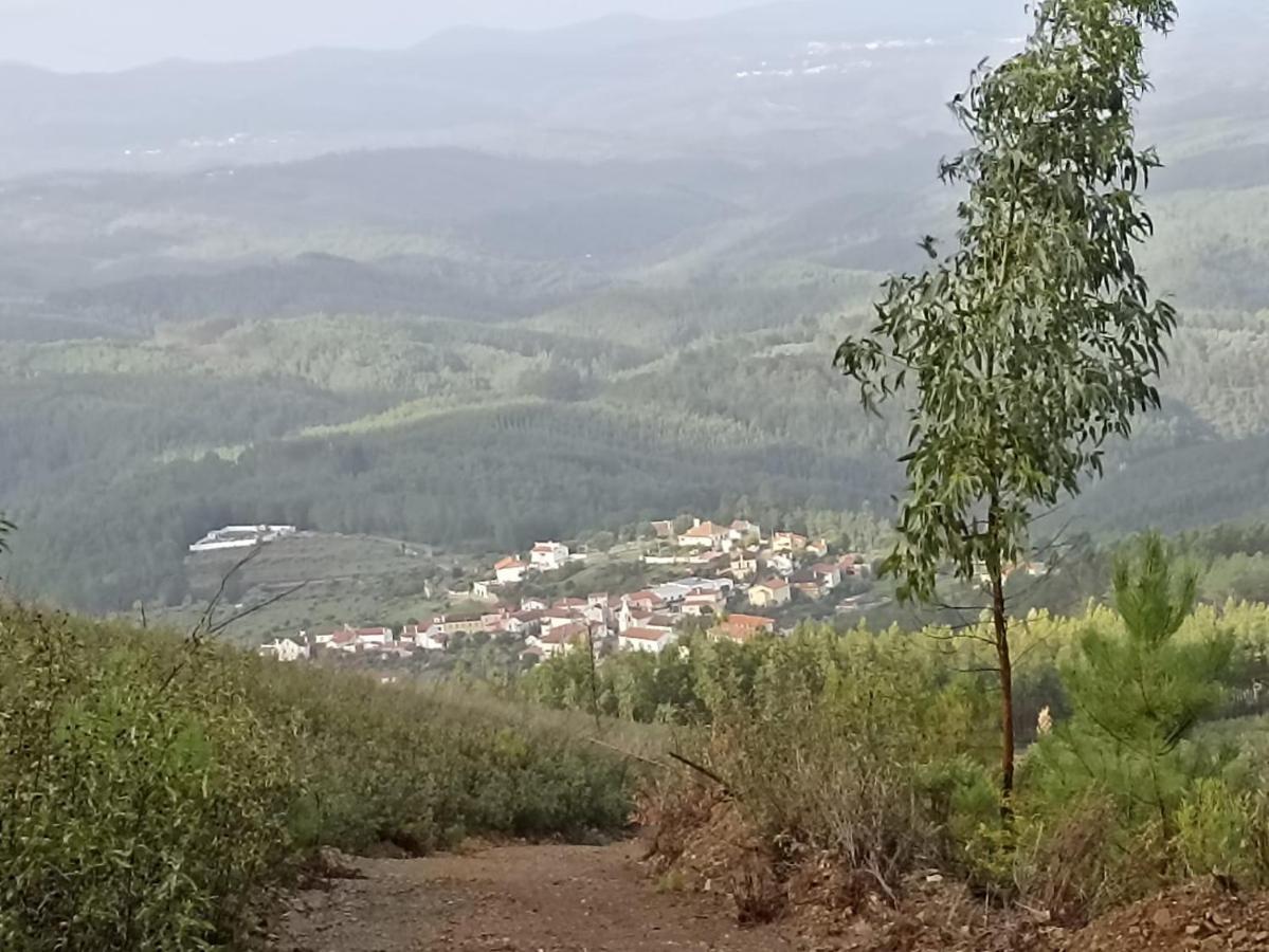 Casa Xara Apartamento Proença-a-Nova Exterior foto
